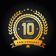 Ten Years Anniversary emblem N8