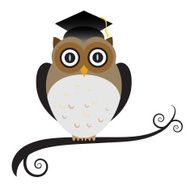 Graduation Owl