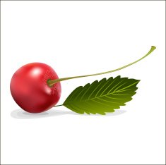 cherry N6