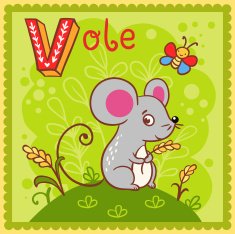 Illustrated alphabet letter V and vole N2