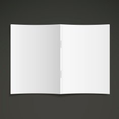 Blank Open Book N9