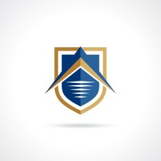 creative shield vector