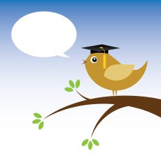 Little Bird Graduating