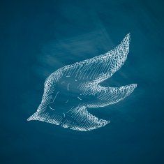 wing icon N5