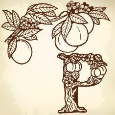 peach branch litera P N2