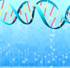 DNA N5