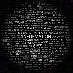 Information N11