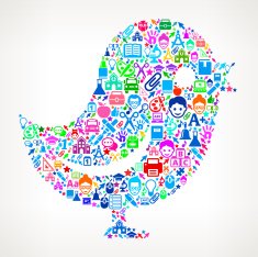 Bird on School & Education Icon Pattern