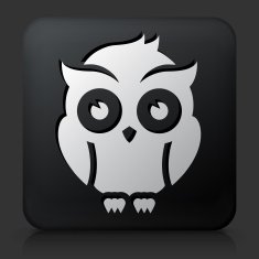 Black Square Button with Night Owl Icon