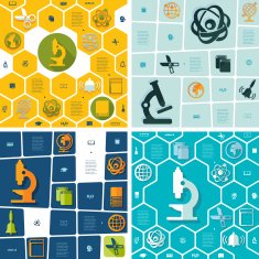 Education flat infographic N111