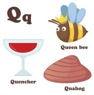 Alphabet Q letter Quahog Queen bee Quencher N2