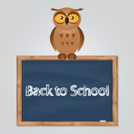 funny owl with school board N3