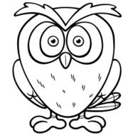 owl N52