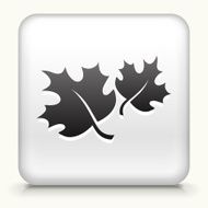 Square Button with Fall Leaves