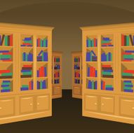 Library vector interior
