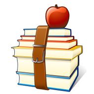 Apple Books Belt