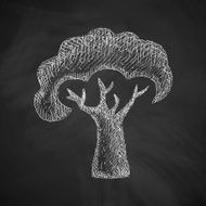 Tree Icon N15