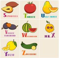 Alphabet &amp; Fruit Vector Set From S to Z N2