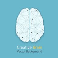 Human Brain N30