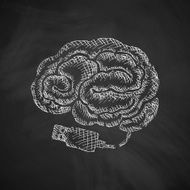 Brain Icon N35
