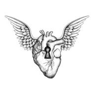 Hand drawn elegant anatomic human heart with wings and keyhole