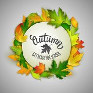 Autumn back to school vector illustration white banner maple leaves