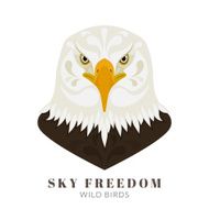 Dangerous eagle