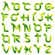 Ecology english alphabet letters with leaves set