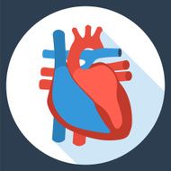 Flat design icon of human heart