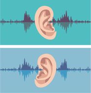 Soundwave through the human ear