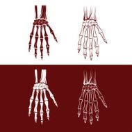 set of skeleton hands N2