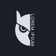 owl N55