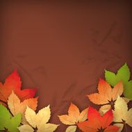 Autumn Vector Fall Leaves