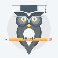 Owl flat style colorful vector icon N2