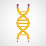 3D creative Icon DNA from pencils N2