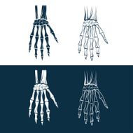 set of skeleton hands N3