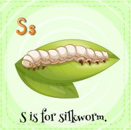 letter s N86