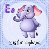 Elephant N50