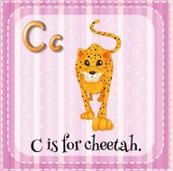 Letter C N75