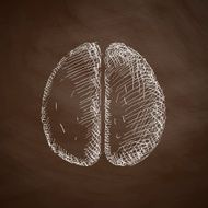 Brain Icon N36
