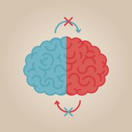 Brain Illustration N151