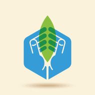 leaf in hands conservation concept