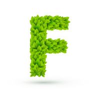 3d green leaves alphabet F