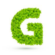3d green leaves alphabet G
