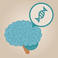 Brain Illustration N152