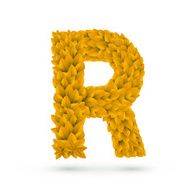 3d yellow leaves alphabet R