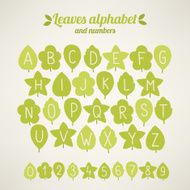 Vector latin leaves alphabet