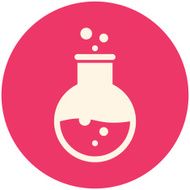 Flask Icon N3