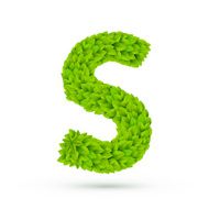 3d green leaves alphabet S