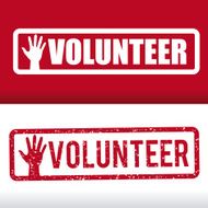 Volunteer design N13